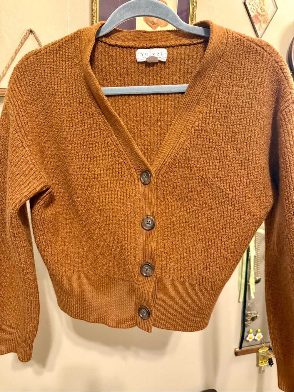 Velvet by Graham & Spencer Rust Cardigan with Button Front